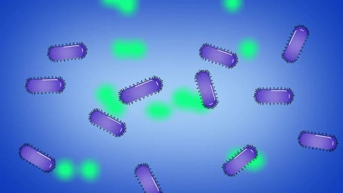 Animated Microorganisms and Glowing Particles Interaction