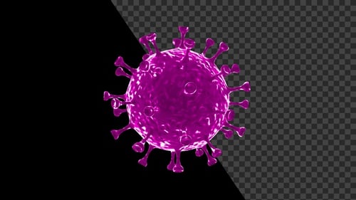 Corona Virus Visualization Covid 19 V15