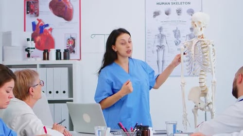 Medical Professionals Discussing Human Skeleton Anatomy
