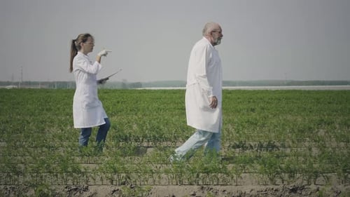 Agronomy scientists work in field