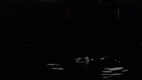 Water drops and ripples against black background. Slow Motion.