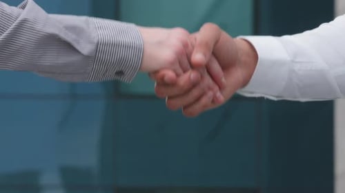 Close Up Part of Human Body Caucasian Woman and Man Shake Hands Conclude Successful Contract Deal