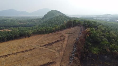 Deforestation at hill slope in Malaysia