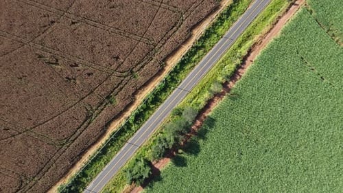 Landstraße in der Nähe von Ackerlandschaft. Ländliche Landschaft.