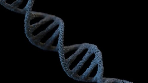DNA-Strang-Doppelhelix geschlungen
