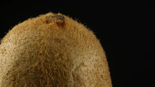 Close Up of Kiwi Fruit on Black Background