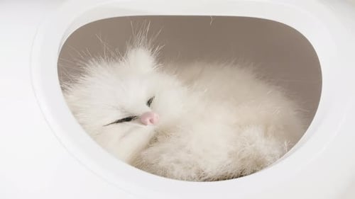 White Robotic Cat Sleeping in a Pet Carrier