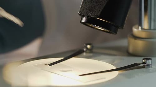 Scientist Doing Research of Virus, Microorganisms, Looking Into Microscope
