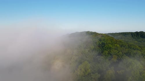 Morning Fabulous Fog That Covers the Mountains. Aerial Top View of Green Trees Covered with Thick