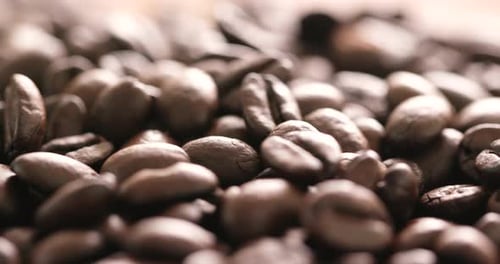Coffee bean