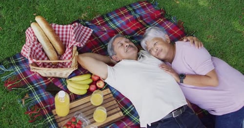 Video of happy biracial senior couple having picnic in garden