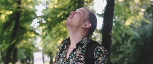 Man looks up at treetops
