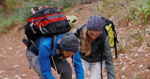 Couple Reading Map in the Forest