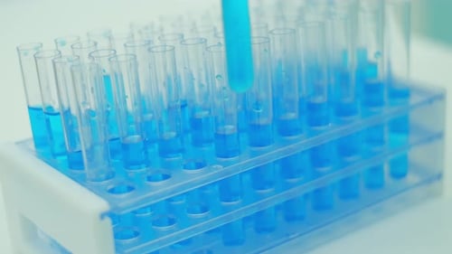 Adding Liquid to Test Tubes in Laboratory