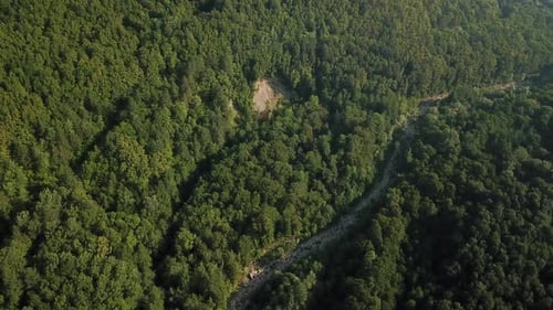 Aerial Top View of Caucasian Mountain Forest, Texture of Forest View From Above.