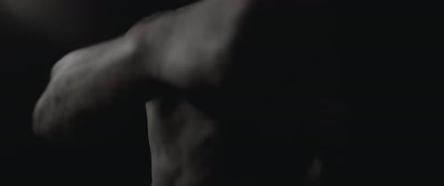 Boxer