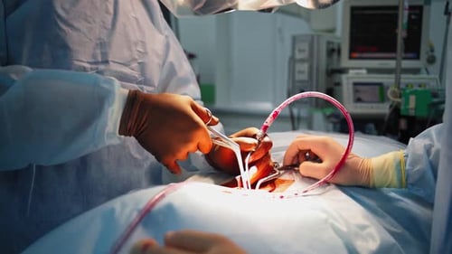 Surgical tools in doctor's hands