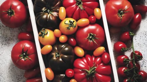 Assortment of Tomatoes in a Wooden Box