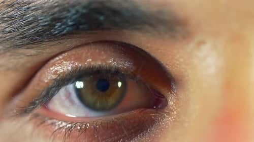 Macro Close Up of Human Eye with Detail