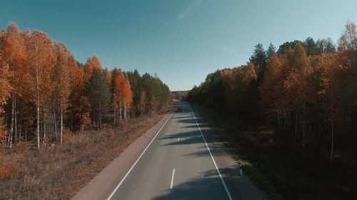 High-speed flight along the road and autumn forest