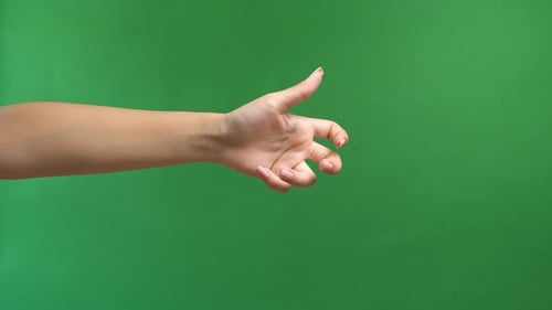 Woman's Hand Isolated On Green Screen Background