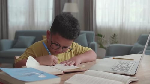 Boy Doing Homework with Laptop and Books at Home