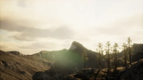 Cliff with Trees and Light of the Sun