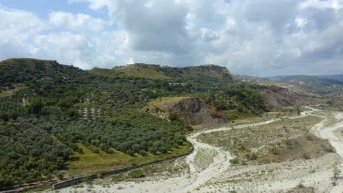 Olivenbaum in Italien für Öl