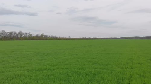 Landwirtschaft Green Field