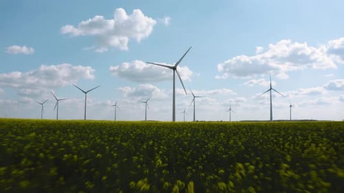 Wind turbine in a green field