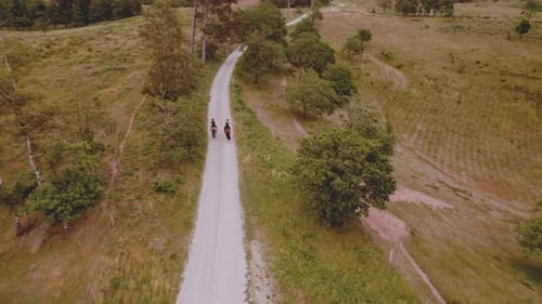 Beautiful Aerial Landscape View Of Open Field With Two Equestrian Riding Horses