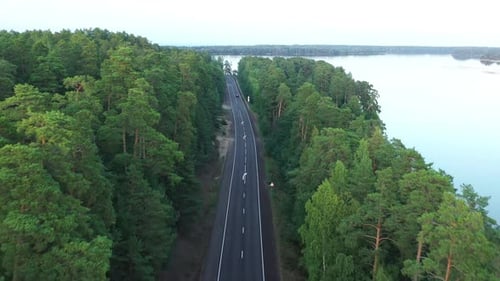 Aerial View From Drone on Asphalt Road at the Forest