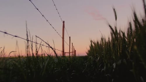 Close-up of fence in field