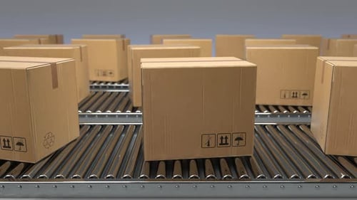Cardboard Boxes Moving on Production Line Conveyor Belt