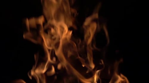 Gelbe Holzflammen bei Nacht