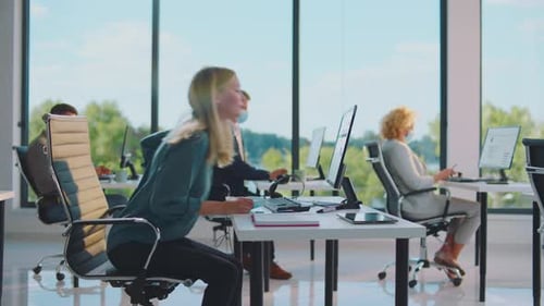 Office Workers Typing at Computers in Bright Workplace