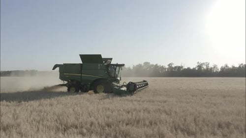 Combine Harvesting Wheat Top View of a Wheatfield
