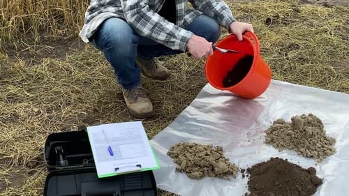 Soil Scientist Examining Earth Samples in Rural Field