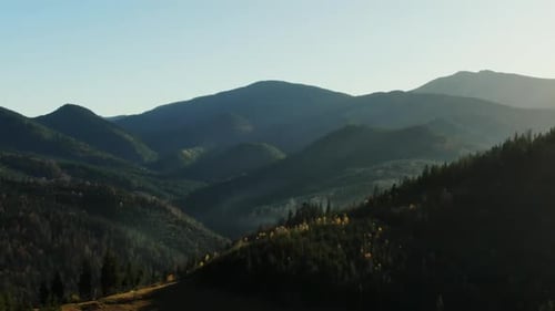 Amazing Drone View of Hills Covered with Green Trees Against Cloudless Blue Sky on Sunny Day in