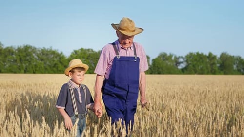 Grandfather and Grandson Walk Through Wheat Field