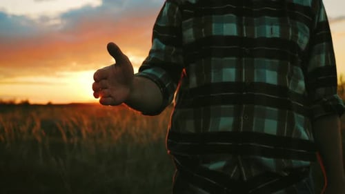 Man Offers Hand for Handshake in Wheat Field