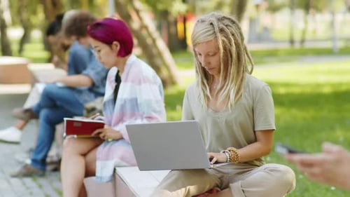 Students Studying Together in Park on Sunny Day