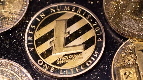 Sparkles Fall on Model L Made By Digital Currency Macro