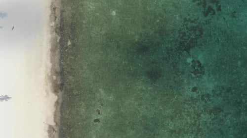 Vue aérienne : survol d'une plage tropicale désertique de l'archipel des Moluques, Indonésie