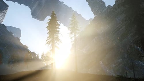 UFO Crashed in the Forest