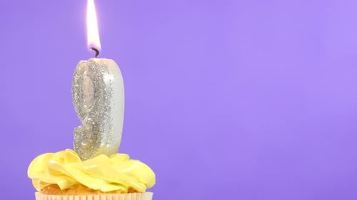Festive Ninth Birthday Cupcake with Burning Candle