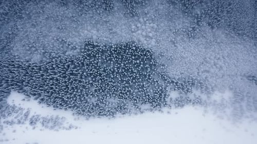 Nuvens sobrevoadas, vista aérea de uma floresta congelada com árvores cobertas de neve no inverno