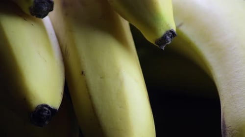 Close Up View of Ripe Yellow Bananas