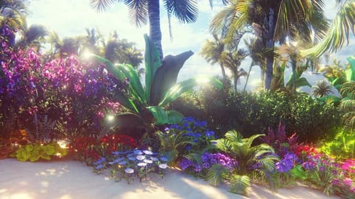Seashore