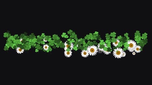 Title Plate Flowers - Daisies and Clower Grass